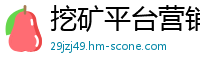 挖矿平台营销